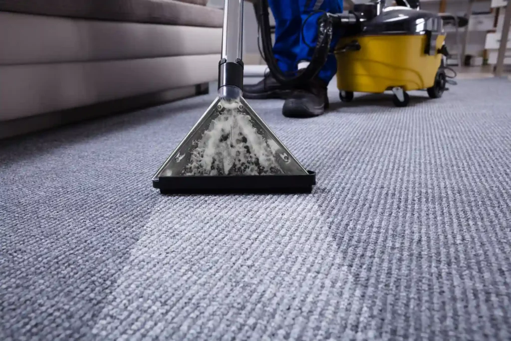 How-to-clean-carpets-1024×683